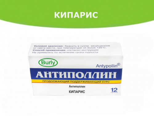 Кипарис поддерживающий курс 